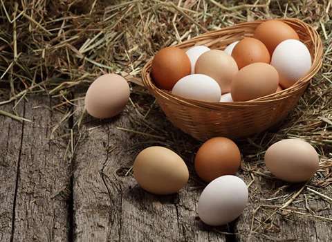 تصویر 4 از قیمت خرید تخم مرغ طبیعی با فروش عمده